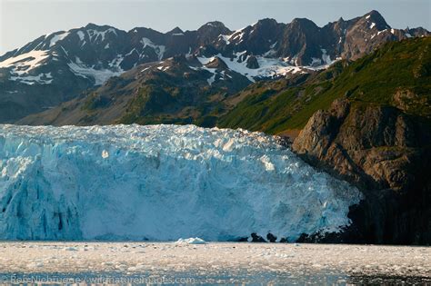 Aialik Glacier Photos By Ron Niebrugge