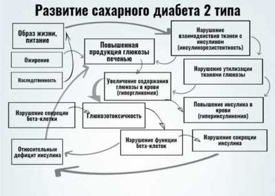 Диабетон в терапии диабета: что важно знать пациенту