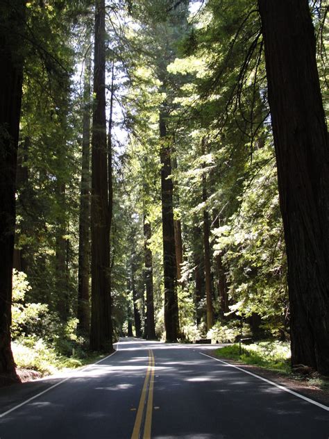 California Highway 101: Detailed Route Map and Road Guide 28