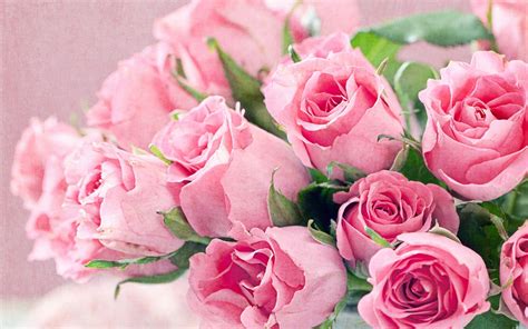 Pink HD Desktop Wallpapers - Wallpaper Cave
