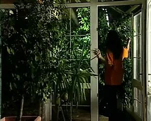 La Signora Degli Uccelli Nymphomaniac Anal Porn Feat Angelica Bella XHamster