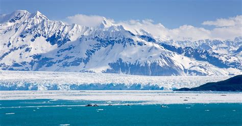 Cruise To Awesome Alaska Takes In Mighty Glaciers And Breaching Whales
