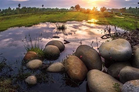 Biotop Džungle Stanoviště · Fotografie zdarma na Pixabay