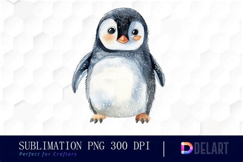 Cute Penguin Watercolor Clipart