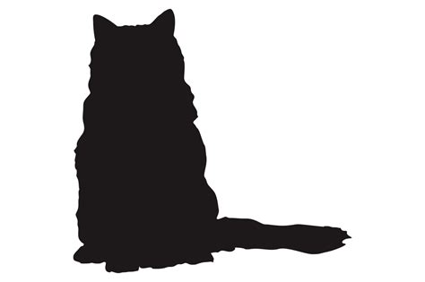 Katze Silhouette Auf Transparent Hintergrund Png