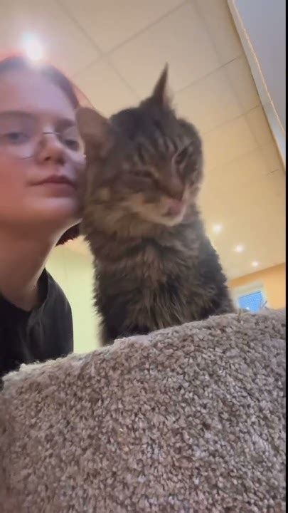 антидепрессанты ️ - YouTube