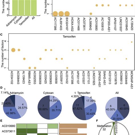 Identification Of Individual Drlncs Based On Multi Omics Data