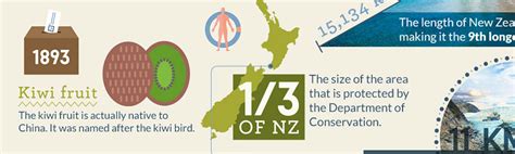 Interesting Facts About New Zealand Infographic