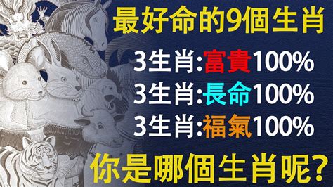 財運會爆發的不可收拾，天生最好命！這些生肖命好福氣大，一生富貴長壽下面一起來看看吧，錢多的怎麼花都花不完，哪些生肖好命又壽長呢【佛語】運勢