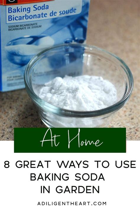 8 Great Ways To Use Baking Soda In Garden Baking Soda Baking Soda