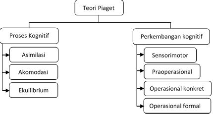 teori perkembangan kognitif