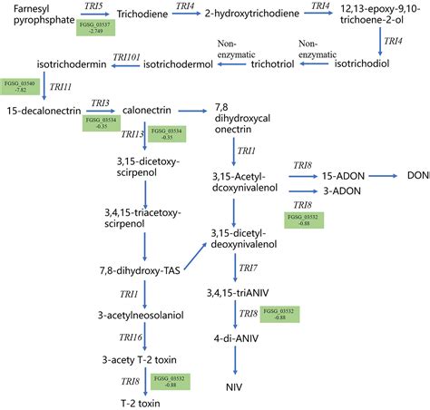 Biological potential of Bacillus subtilis BS45 to inhibit the growth of ...