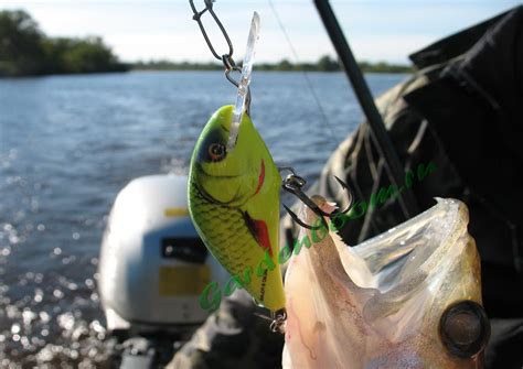 Воблеры для течения