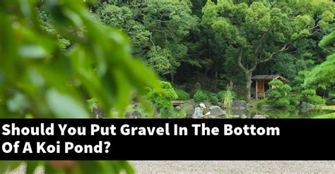 Should You Put Gravel In The Bottom Of A Koi Pond 2024 Guide Gold