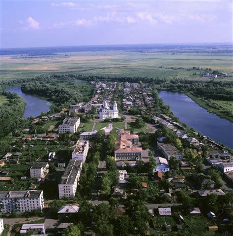 Древо - иллюстрация: Ишим