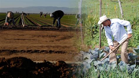 Escalamiento De La Agroecología En México Noticias