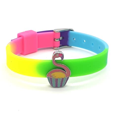 Rainbow Silicone Bracelet With Charm Greater Kruger Alley Cats Initiative