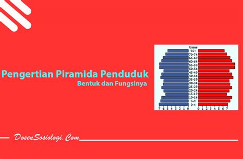 Pengertian Piramida Penduduk Bentuk Fungsi Dan Contohnya