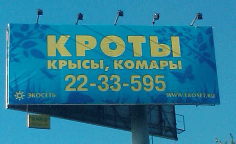 Яzva - Блог - Бизнес-блоги - Sostav.ru