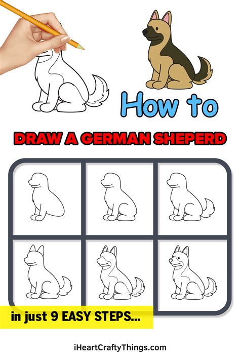 German Shepherd Drawing — How To Draw A German Shepherd Step By Step