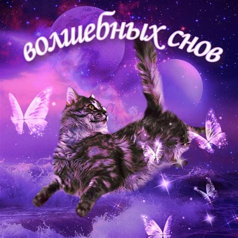 Спокойной ночи