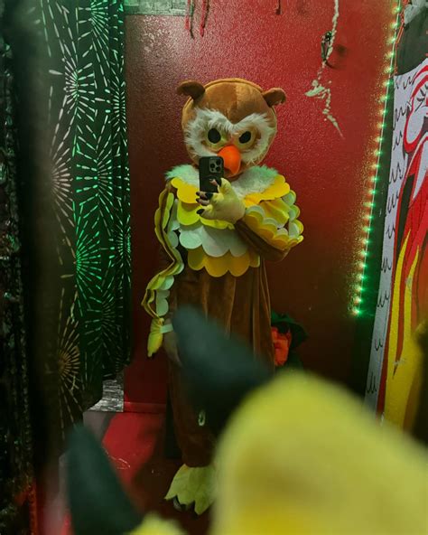 Whips n Furs Costumes Shop (@sandiegocostumes) • Instagram photos and