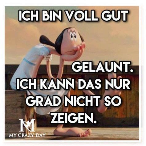 alles doof ideen   lustige sprueche witzige sprueche sprueche