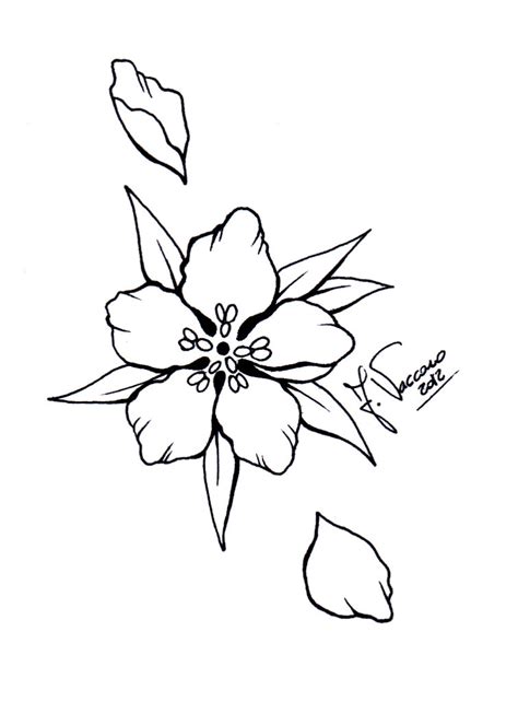 Peach Blossom Flower Drawing Clip Art Library