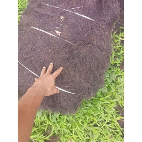 jual ijuk resapan  kg shopee indonesia