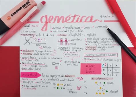 Mapa Mental 1 Lei De Mendel Ensino