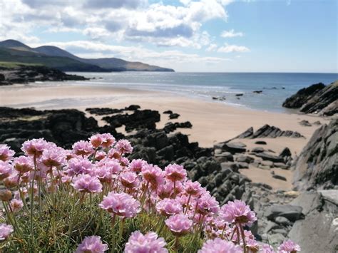 Bá Fhíonáin / An Gleann — Discover Iveragh