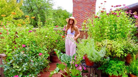 September Container Garden Tour Rooftop Balcony Garden Youtube