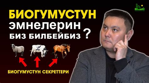 Биогумустун сырлары тууралу жакшы маек. Каяктан алыш керек жана канча ...