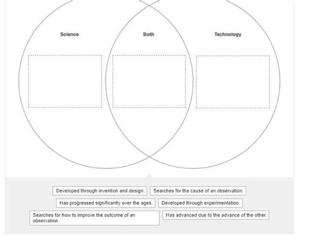 Free Please Help Me Drag And Drop Each Label To The Correct Area Of