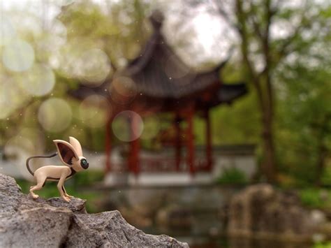 Momo” Action Figure Photography By Me Rthelastairbender