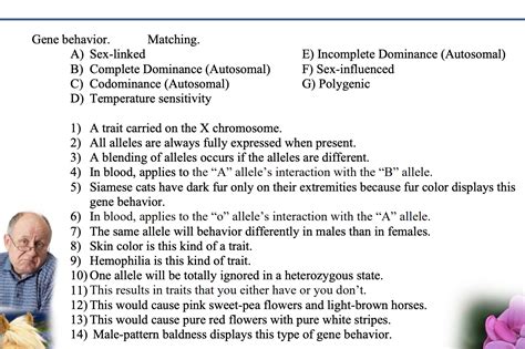 Solved Gene Behavior Matching A Sex Linked B Complete Chegg