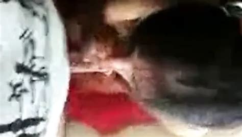 Free Oral Porn Videos XHamster