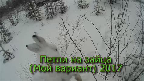 Петли на зайца (Мой вариант) - YouTube
