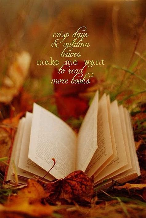 Autumn Book Autumn Books Hd Phone Wallpaper Pxfuel