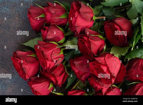 Crimson Red Rose Flowers Stock Photo Alamy