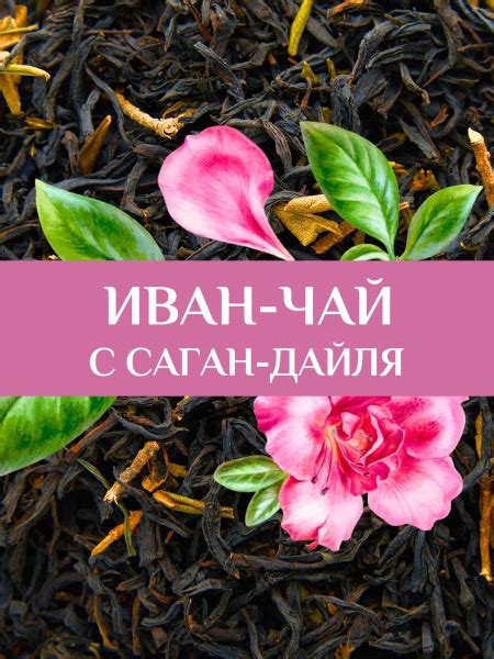 Иван-чай 75 гр с саган дайля - купить с доставкой по выгодным ценам в ...