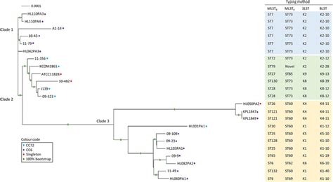 Core Genome Phylogenies Of 23 Type II Strains Strain Assemblies Were