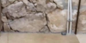 Megane Lopez Deepthroat Rimjob Anal Fun Mike Angelo Tnaflix