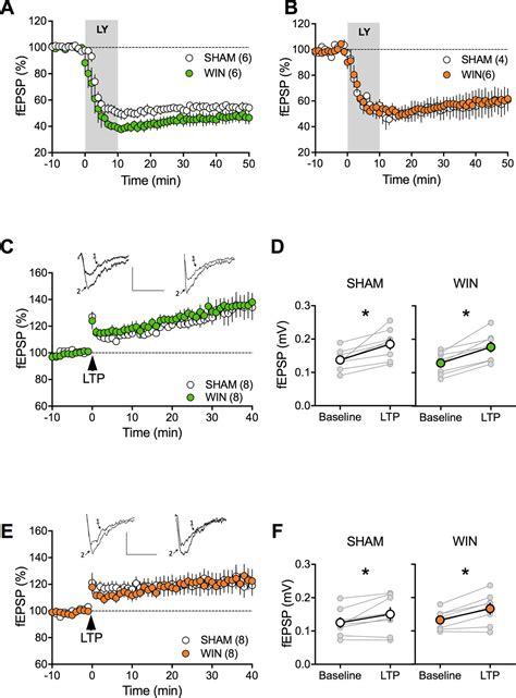 Figures And Data In Sex Dependent Effects Of In Utero Cannabinoid Exposure On Cortical Function