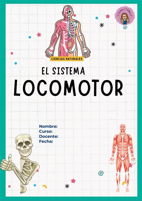 Imgenes Del Sistema Locomotor Sistema Locomotor