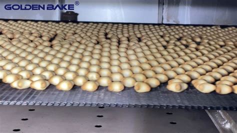 Heat Transfer In Biscuit Baking Oven Golden Bake Group