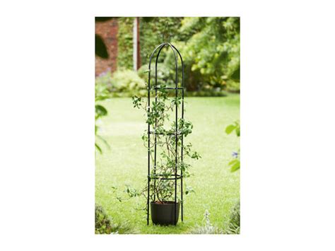 Livarno Home Rose Arch Garden Obelisk Lidl Great Britain