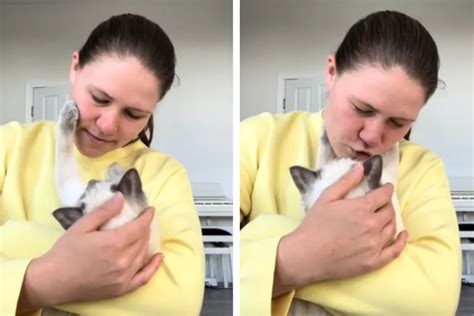 Ragdoll kitten's heart-melting reaction to cuddles has TikTokers sobbing
