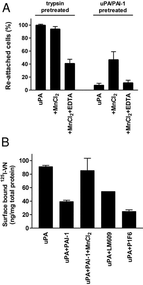 Effect Of The Sequential Addition Of Upa And Pai On The Activity