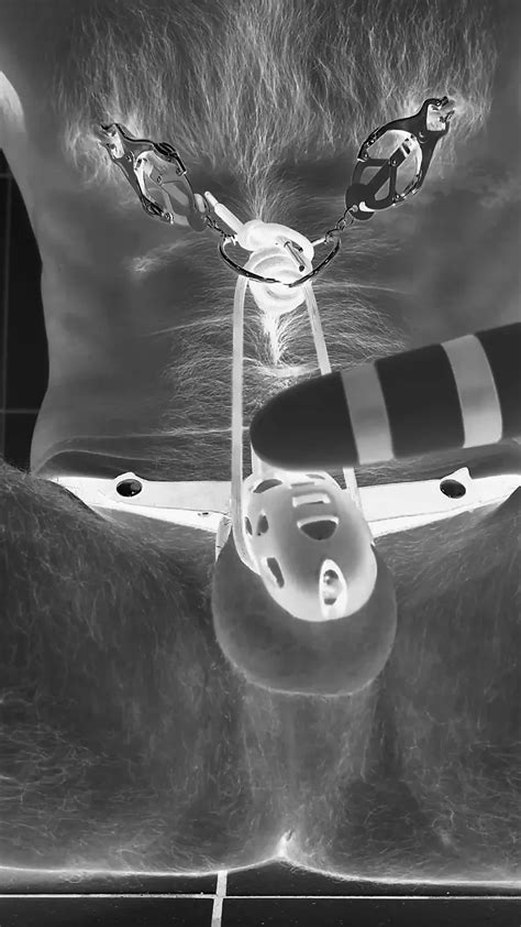 Pov Chastity Cage With Penis Plug Huge Cumshot Gay Amateur Porn Feat Selfspanker Xhamster